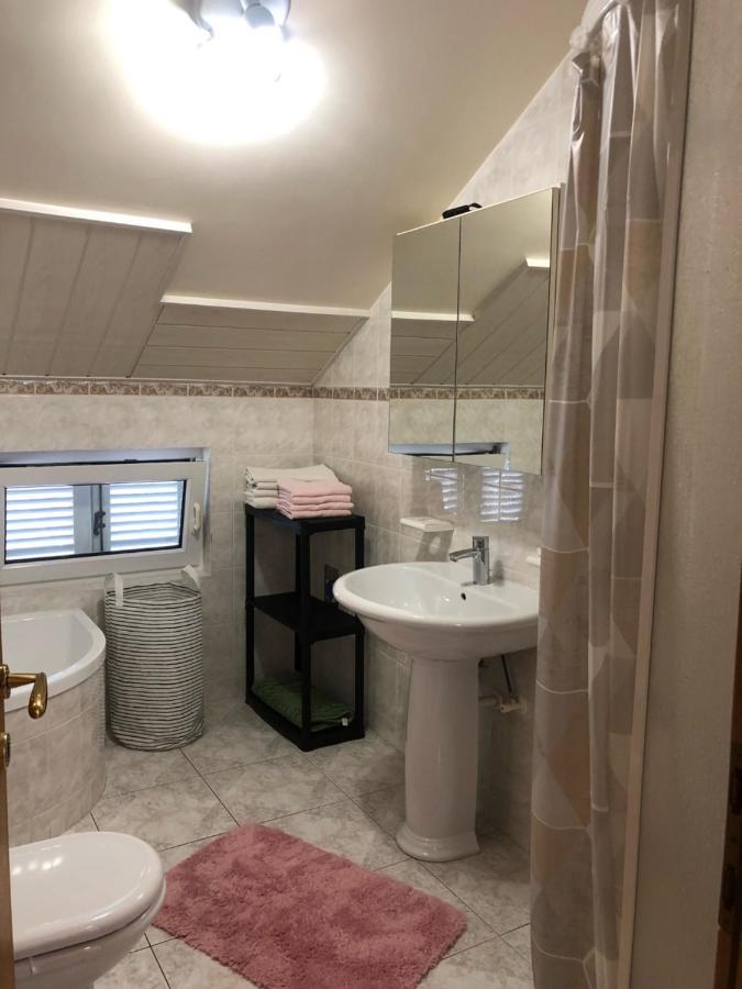 Apartment Bojana 诺维·维诺多尔斯基 外观 照片