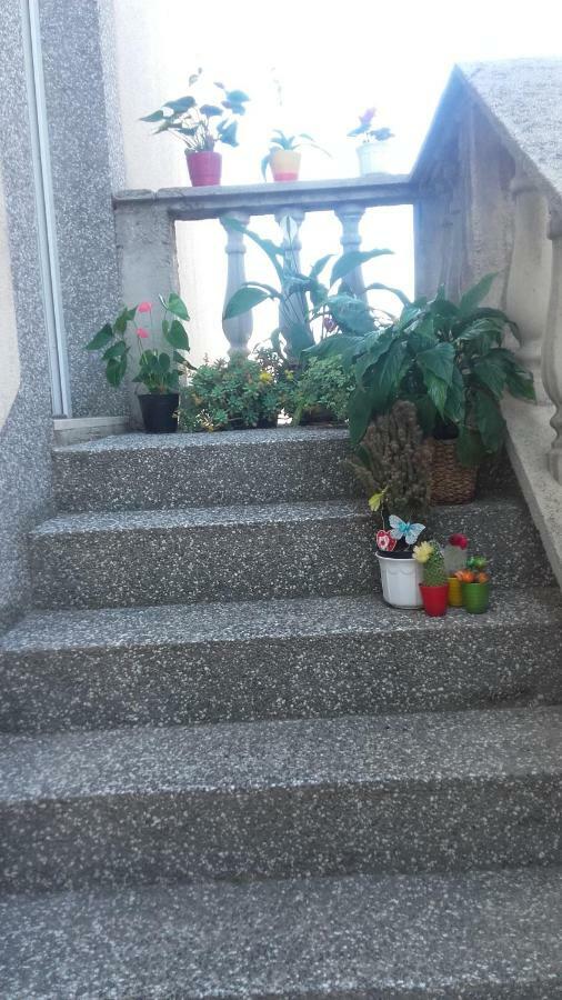 Apartment Bojana 诺维·维诺多尔斯基 外观 照片