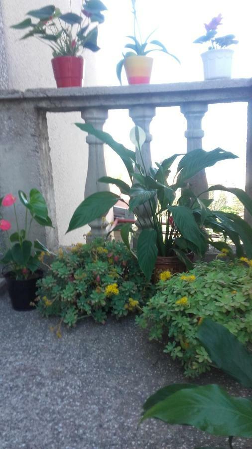 Apartment Bojana 诺维·维诺多尔斯基 外观 照片