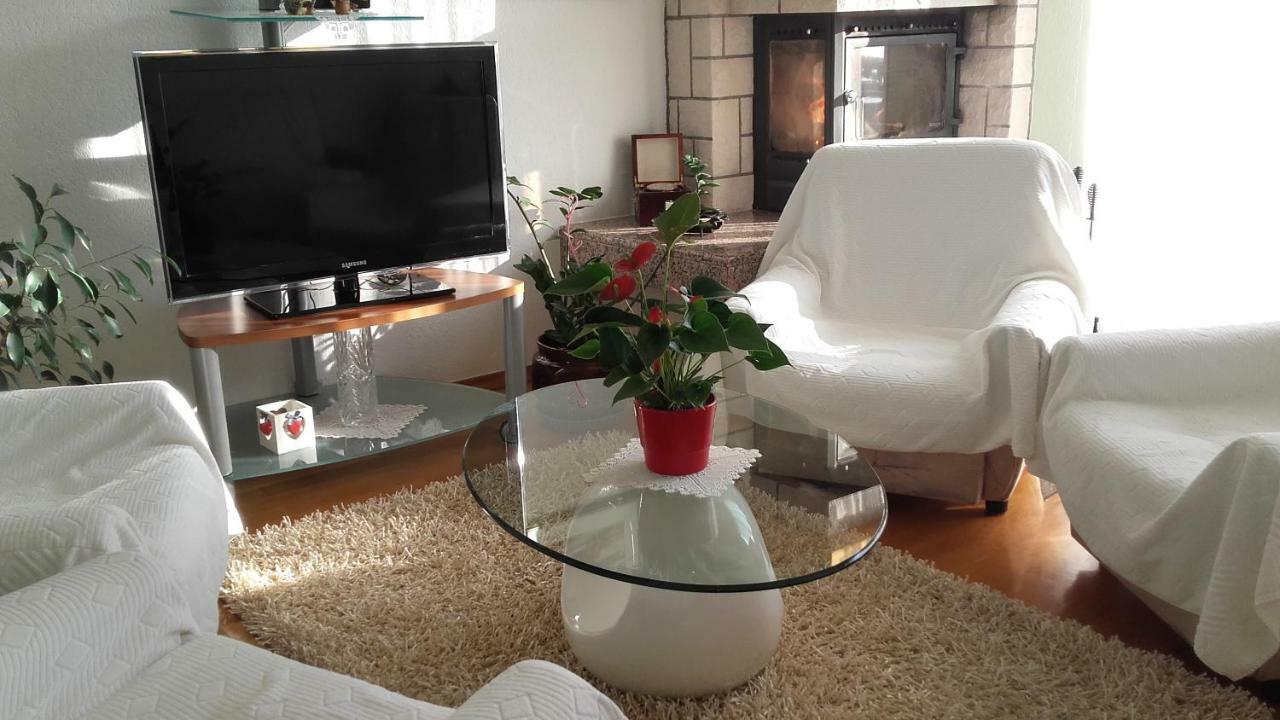 Apartment Bojana 诺维·维诺多尔斯基 外观 照片